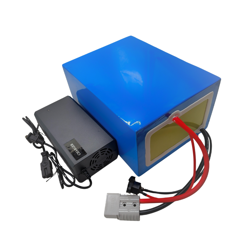 Batteria agli ioni di litio ad - 72V 40Ah Lifepo4 Battery Pack recensione e prezzo