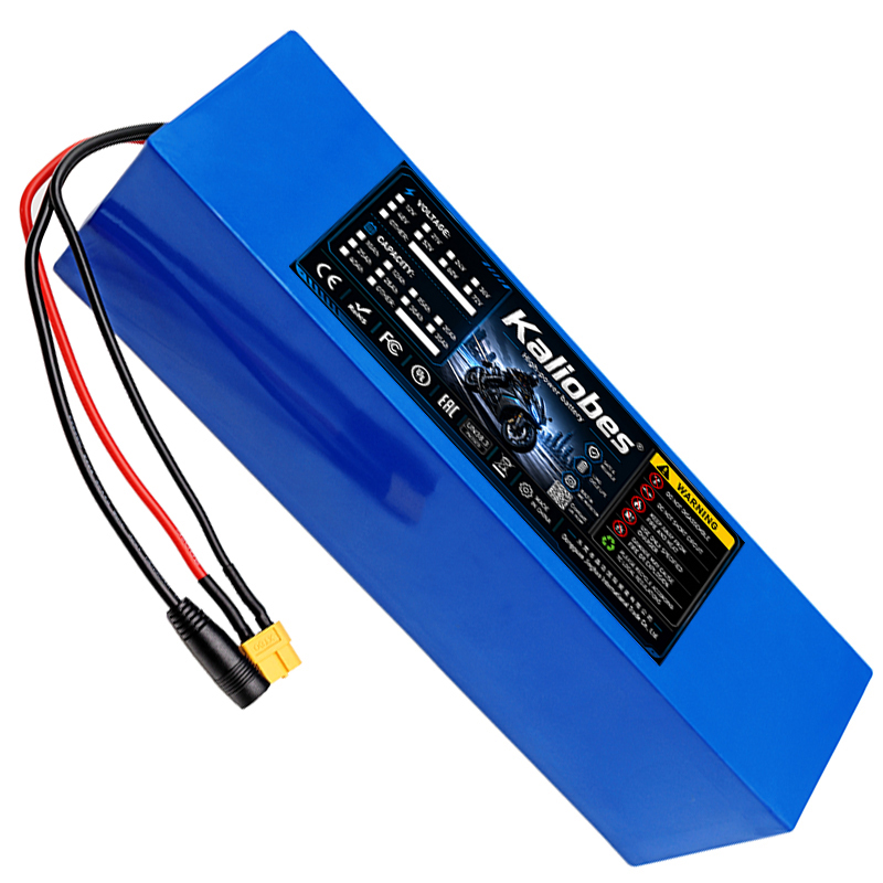 Batteria agli ioni di litio 21 - 60V 50Ah Electric Scooter Battery recensione e prezzo