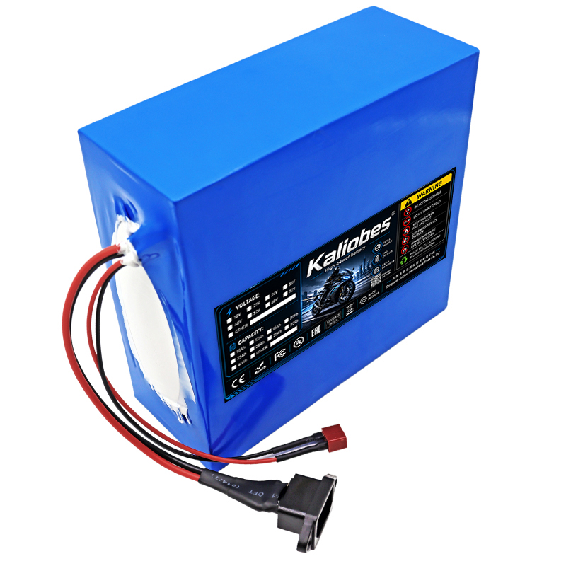 Batteria agli ioni di litio 21 - 60V 50Ah Electric Scooter Battery recensione e prezzo